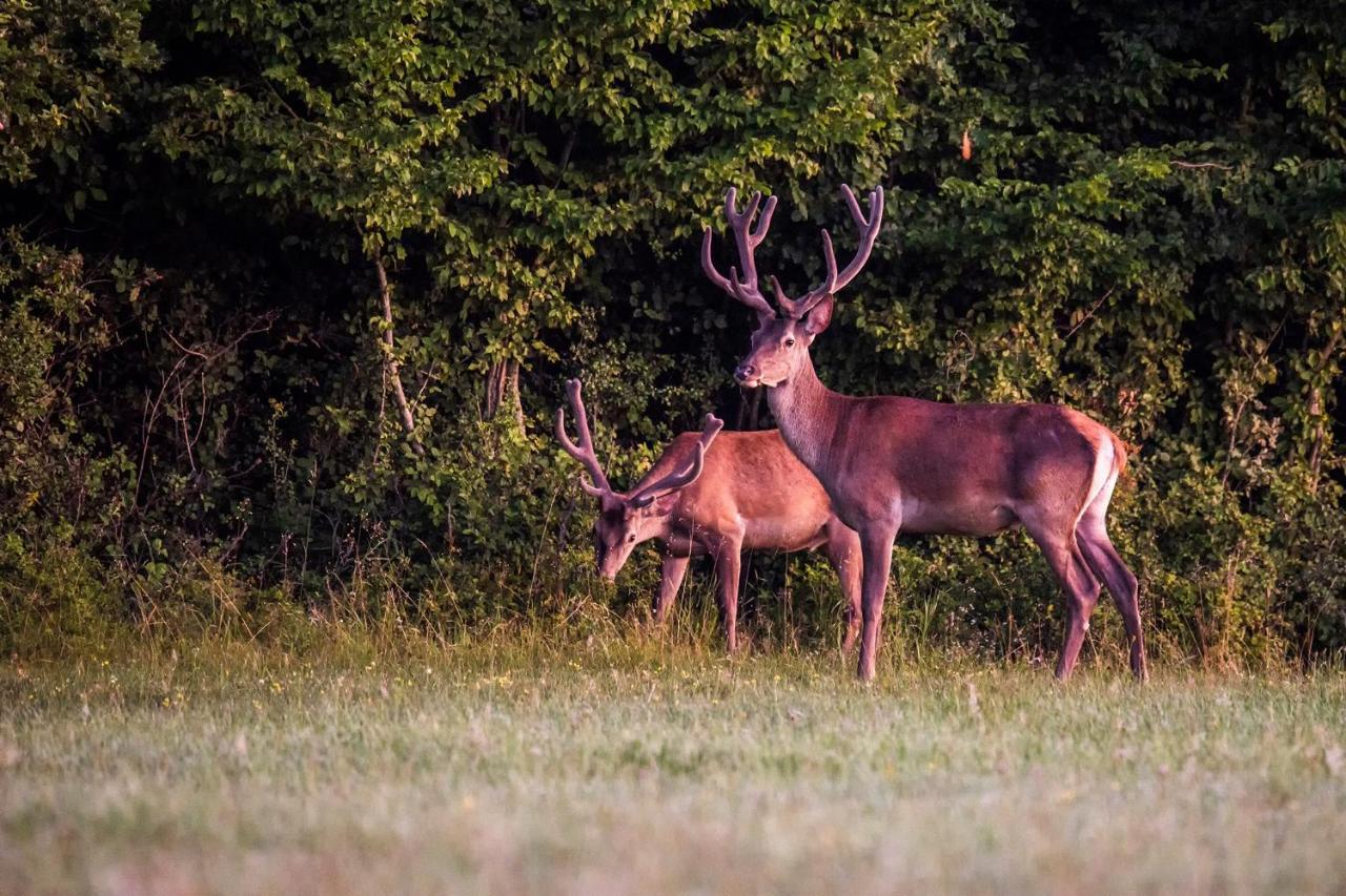 Naturpark Vendeghaz Alsoszolnok Екстериор снимка