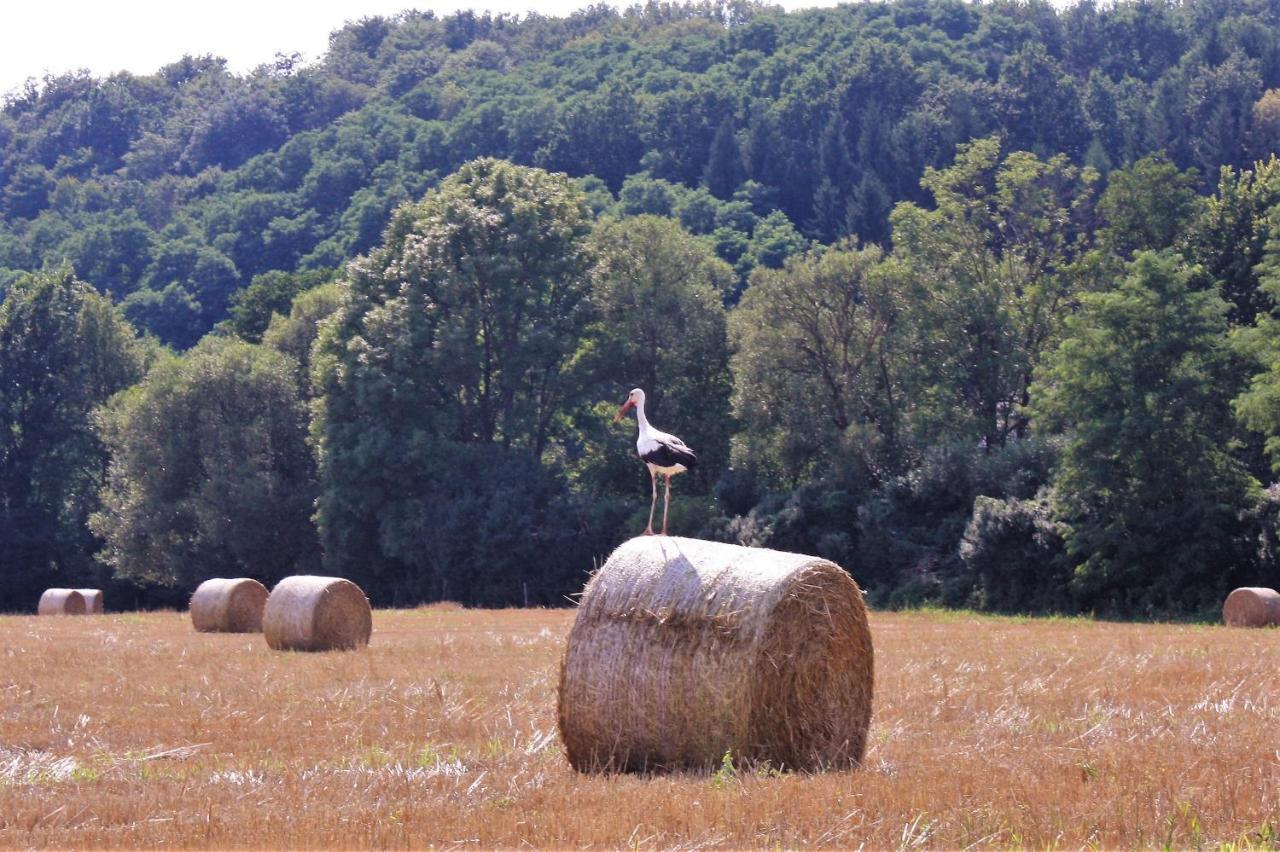 Naturpark Vendeghaz Alsoszolnok Екстериор снимка